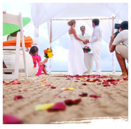 Weeding 